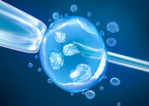 Embryo Donation