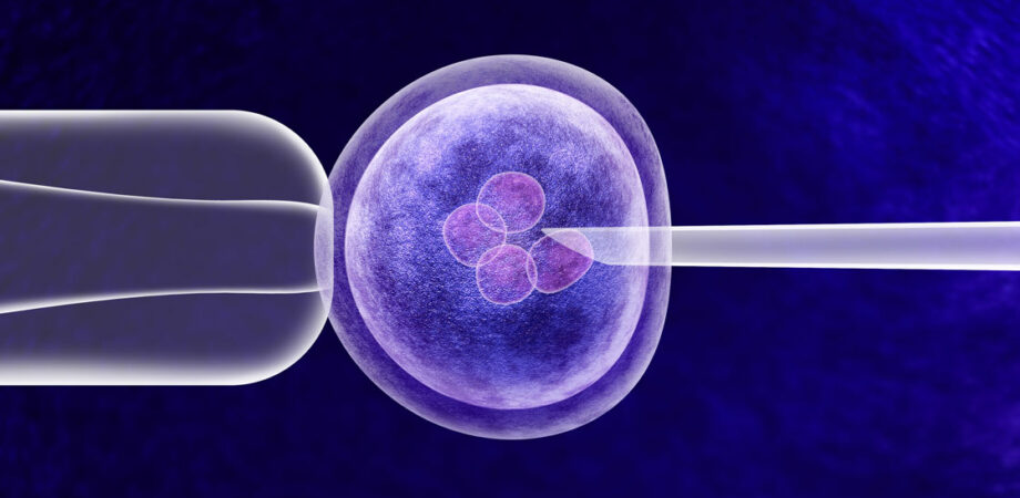 Tüp Bebek Tedavisi IVF