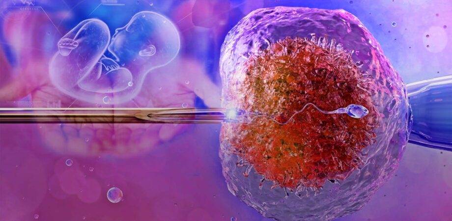 İlk Tüp Bebek Denemesi