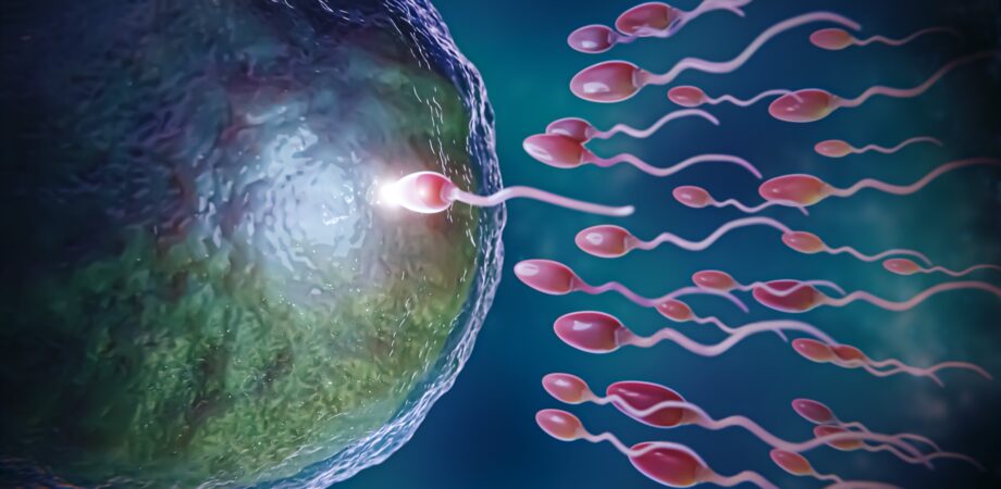 Tüp Bebek Tedavisinde Başarıyı Artıran 10 İpucu