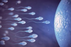 Sperm Donasyonu